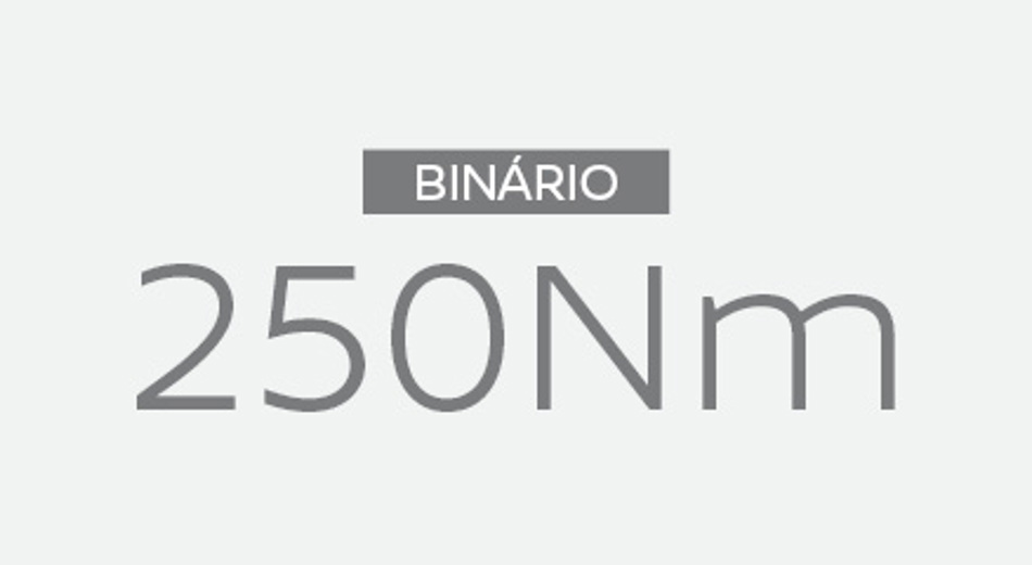 Qashqai Binario 250Nm